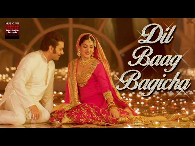 Dil Baag Bagicha Video Thumbnail