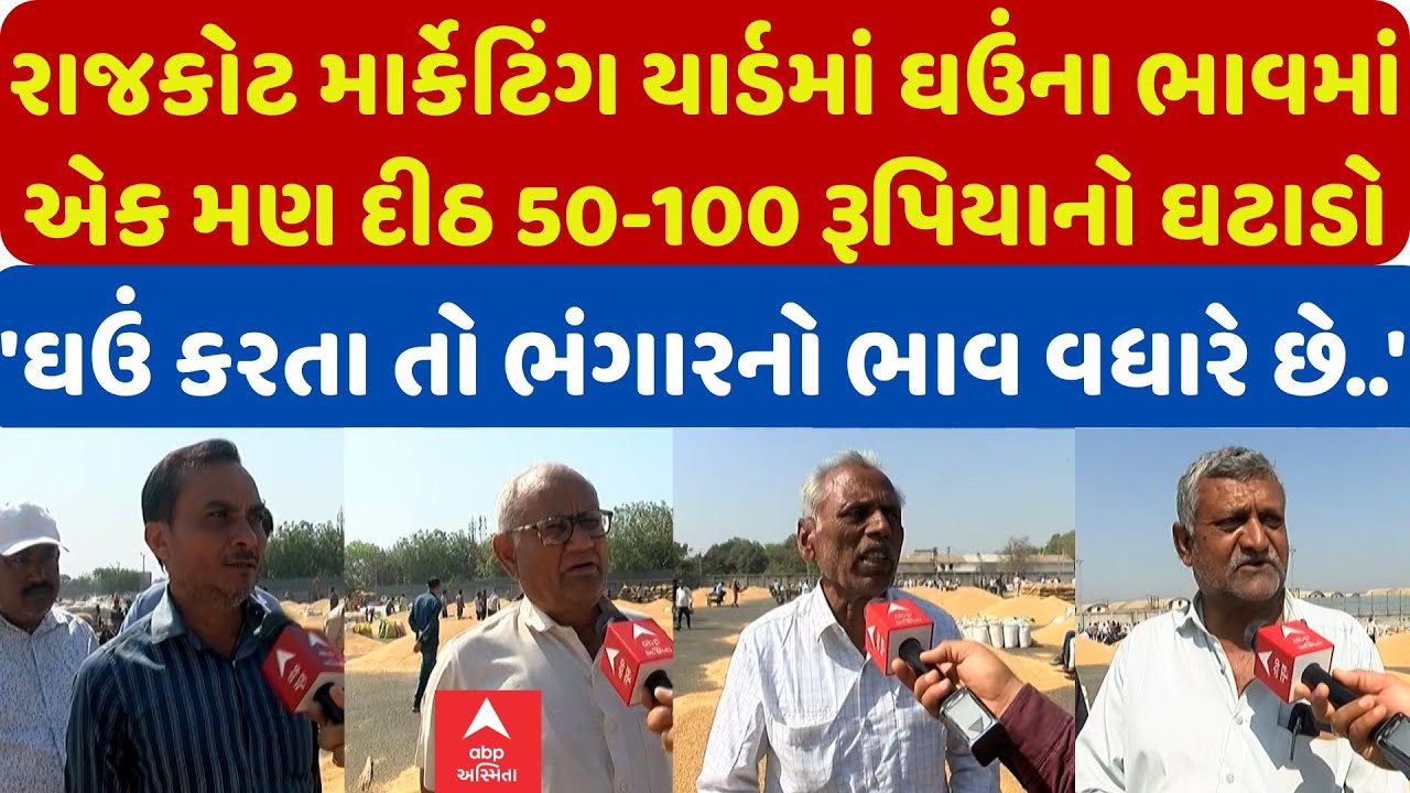 Rajkot | માર્કેટિંગ યાર્ડમાં મોટા પ્રમાણમાં ઘઉંની આવક, ભાવમાં એક મણે 50થી 100 રૂપિયાનો ઘટાડો