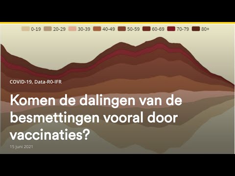 Video: De uitbraak van de hondengriep heeft huisdieren, ouders en bedrijven die extra voorzorgsmaatregelen nemen