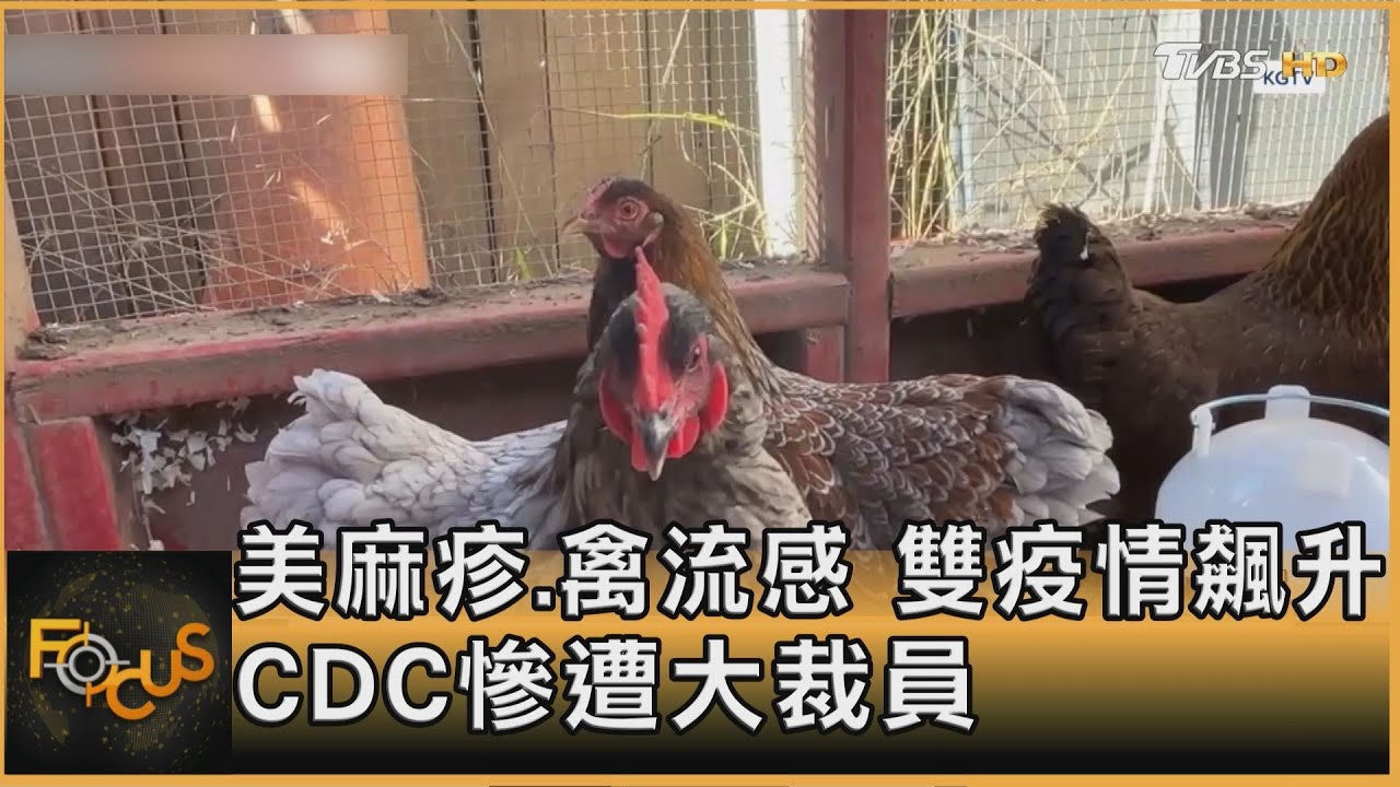 美麻疹.禽流感 雙疫情飆升 CDC慘遭大裁員｜方念華｜FOCUS全球新聞20250226 @tvbsfocus