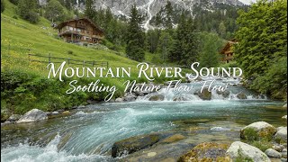 Relaxing River Flow | Calm Forest Atmosphere for Meditation #SleepSounds