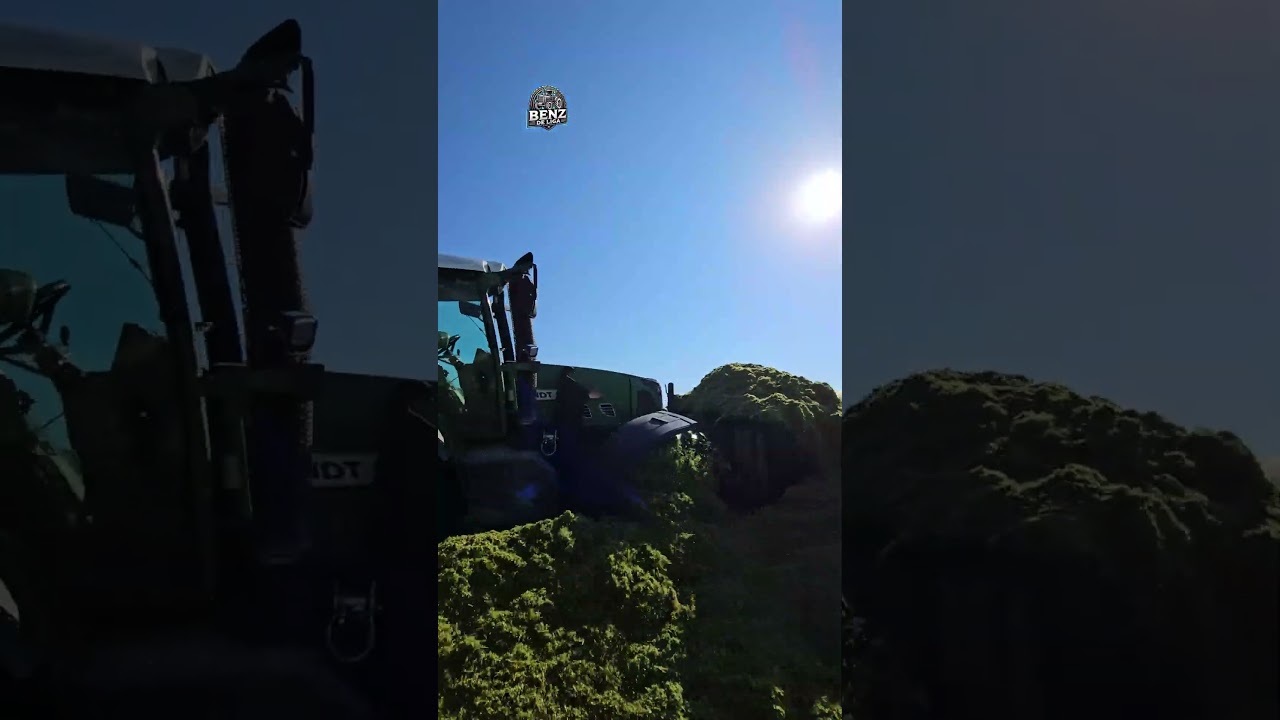 Fendt TMS schiebt wie ein Mammaut 🦣🦣🚜