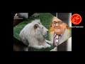الخدود كي تفاح نايم والورد وإلخانة مرسومة