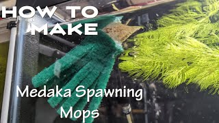 DIY Japanese Rice Fish Medaka How to make spawning mops