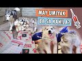 1ST VACCINE NG SUGARPUPS + MAY NAKATAKAS ULIT!! (STORY TIME)