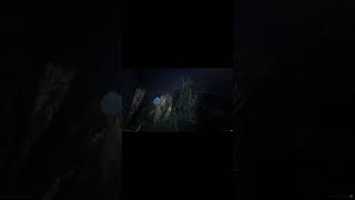 OceanFake DISASTER ON GTA 5 #shorts #oceangate #rip