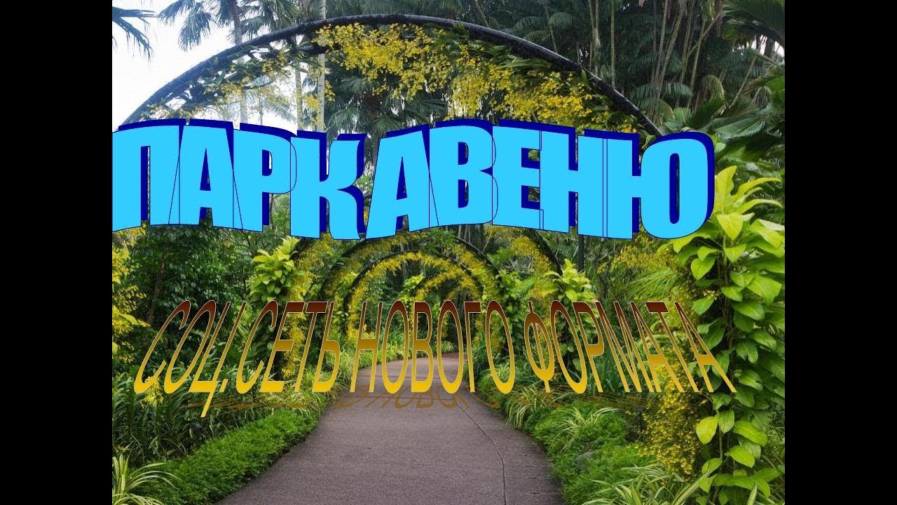 PARK AVENUE Вебинар 26.01.19 Миксер, Основные программы, Коробочка с сюрпризом