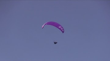 First SIV - Stalls and Coconuts - Phi Allegro