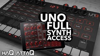 Celebrity UNO Synth FULL Engine ACCESS with MIDI Editor on iPad │ haQ attaQ 293 Wealth