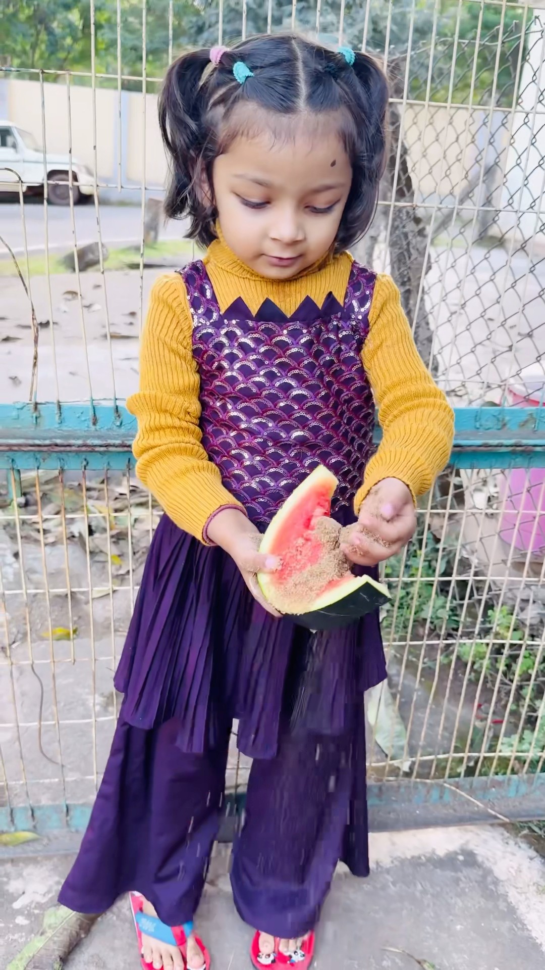 Tooktook ne watermelon par ret dal ke kaise badla li?