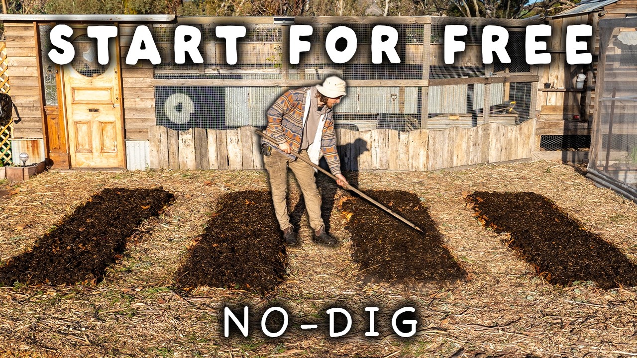 How to Build a NO-DIG Garden For FREE | Step-By-Step