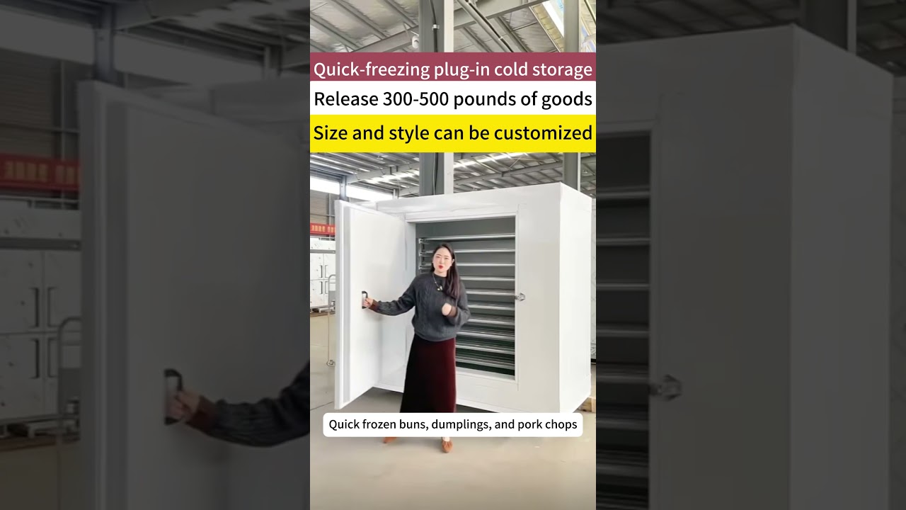 Quick-freezing plug-in cold storage, Size and style can be customized. 