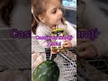 VLOG Ce am cumpărat pentru o săptămână la ⛺ CORT dulciuri și mâncare LIDL SI KAUFLAND +preturi