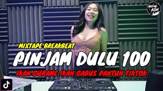 Dj Ikan Gurame Ikan Gabus Pinjam Dulu Seratus Remix Viral Tiktok Terbaru 2023 Mixtape Breakbeat
