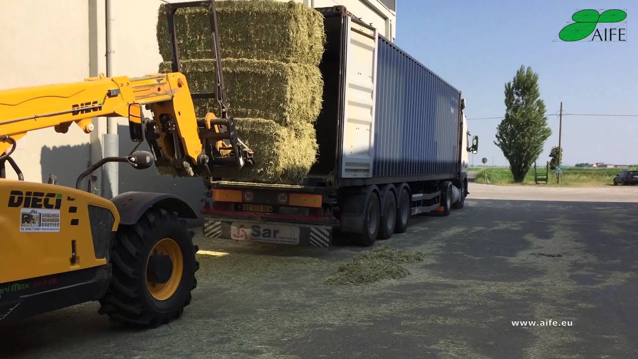 Aife - Associazione Italiana Foraggi Essiccati 2015