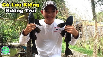 cá lau kiếng khủng nướng trui món ngon miền tây | NGÃ NĂM TV