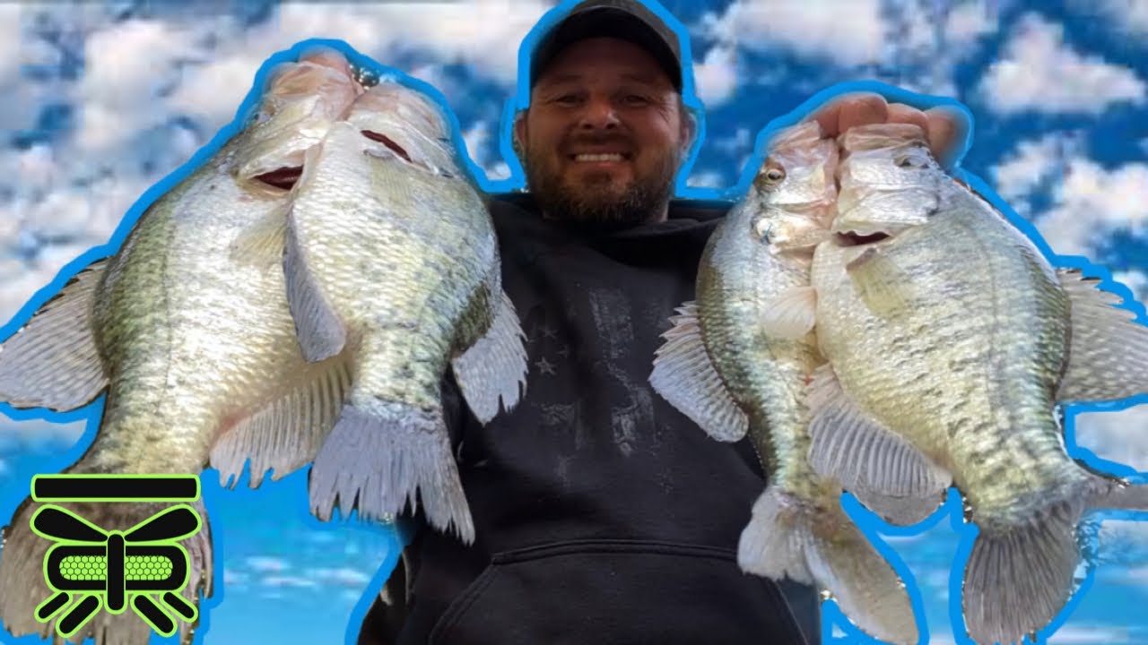 WHY do CRAPPIE go up the CREEKS?🍁 [ They follow the shad 🐟] - YouTube