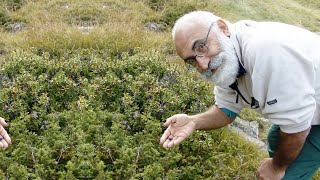 In memory, in movement: Taghi Farvar (1942–2018) #ICCAConsortium15