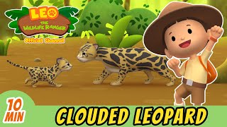 The Clouded Leopard | Full Episode | Leo the Wildlife Ranger | Kids
