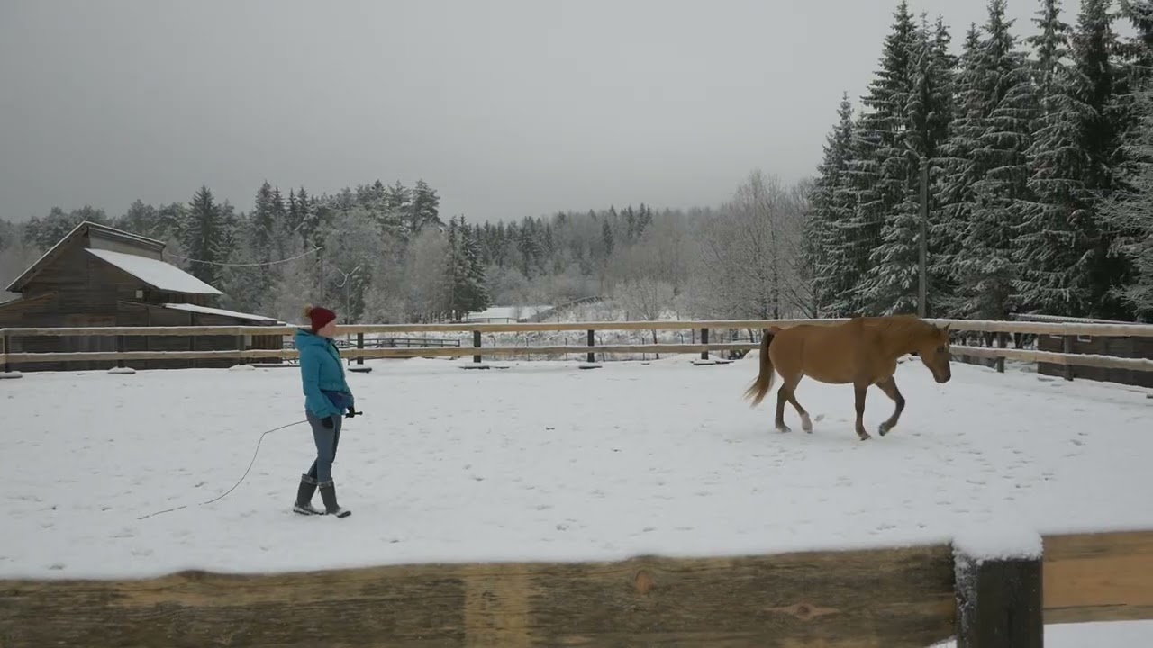 Тест 1 02 01 2020