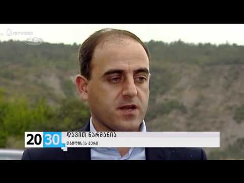 დავით ნარმანია ვერეს ხეობის განვითარების შესახებ