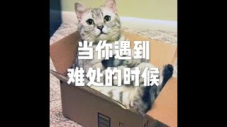 201501 当你遇到难处的时候21324