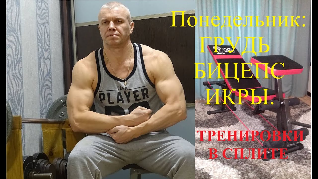 Программа тренировок грудь бицепс