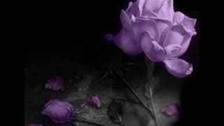 Teddy Pendergrass ~ ' Be Sure '❤️   1977
