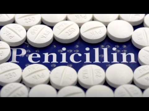 penicillin a wonder drug Penicillin (the wonder drug) persistant problems despite promising results in previous tests, production rate continued to be a problem for doctors and scientists alike. penicillin a wonder drug Penicillin (the wonder drug) persistant problems despite promising results in previous tests, production rate continued to be a problem for doctors and scientists alike.