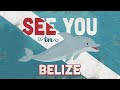 Know Before You Go To Belize