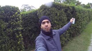 Download Lagu Labirinto Em Sp MP3 Labirinto Em Sp
