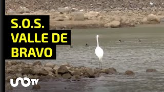Lagos artificiales y bordos estrangulan a la presa de Valle de Bravo