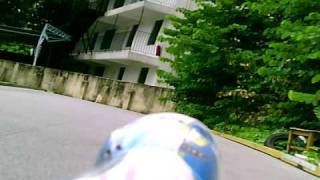 bee 01.AVI