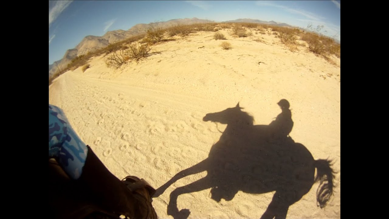 Last Mile 1 2 Of Our 50 Mile Endurance Ride YouTube last-mile-1-2-of-our-50-mile-endurance-ride-youtube