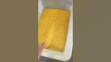 Color sorter separates impurities of different colors from sulfur yellow stone #machine #factory