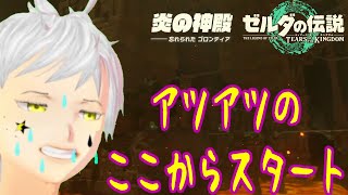 【ゼルダの伝説 ティアーズ オブ ザ キングダム】#3　生配信　2つ目の神殿攻略する