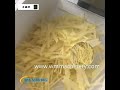 Carrot Shredder Machine  Potato shredder Machine