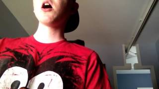 Stay Together For The Kids by blink-182 Vocal Cover