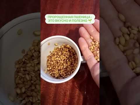 Пророщенная пшеница - это кладезь витаминов и пользы!