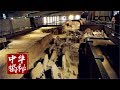 《中华揭秘》三门峡虢国墓地 20180607 | CCTV科教