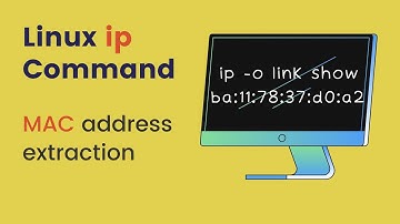 Bash script to extract the name of network interfaces and their MAC address using the ip command