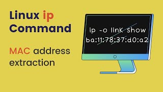 Bash script to extract the name of network interfaces and their MAC address using the ip command