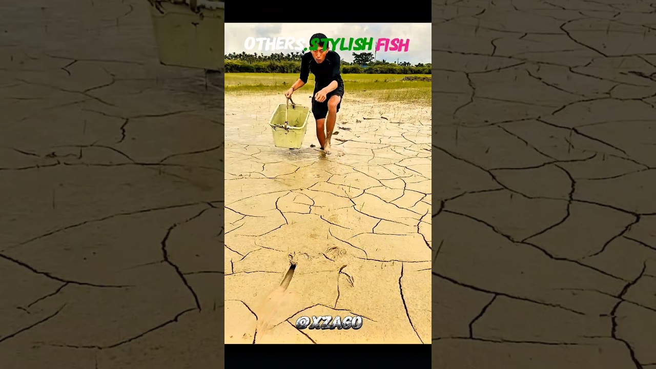 TROLL VIDEO STYLISH FISH ☠️#trending #stylish #fish #edit