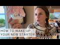 How to Use Your Sourdough Starter for Beginners Easy Feeding Routine to Wake Up