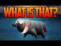 Tardigrades and More: A Fun Exploration