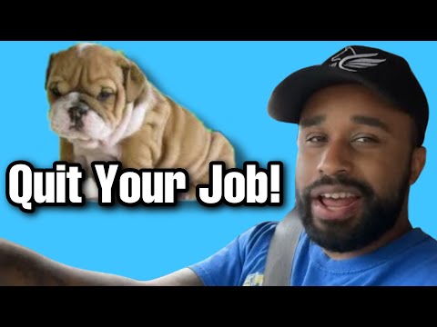 How to become a Dog Breeder & Quit your 9-5!