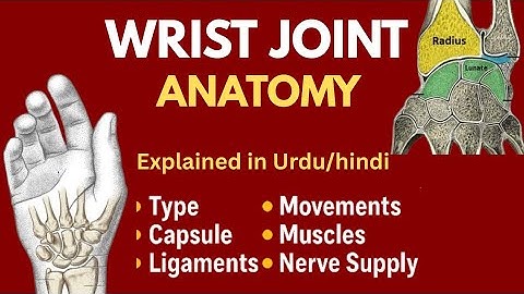 Wrist Joint Anatomy Made Easy |Type, Capsule, Ligaments, Movements, Muscles & Nerve Supply Explained
