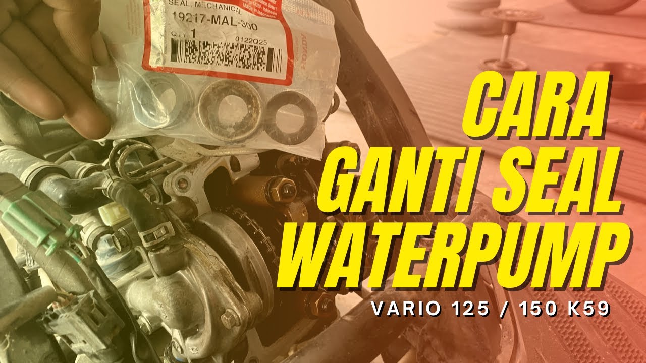 Cara ganti seal waterpump | Vario 125/150 K59