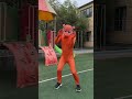 Too much| Rhythmbox Funny Video🤣🤣🤣#Rhythmbox #Huahua'sfamily #Fun