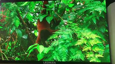 324inch 8K Ultra HD Large LED Screen of P0.9 COB LED Screen